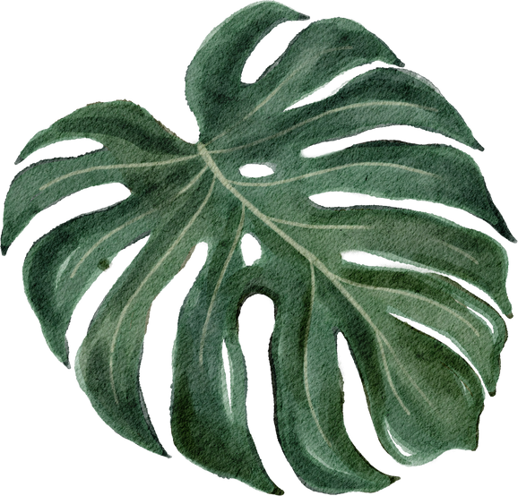 Tropical Leaves Element